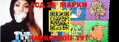 гидропоника Будённовск